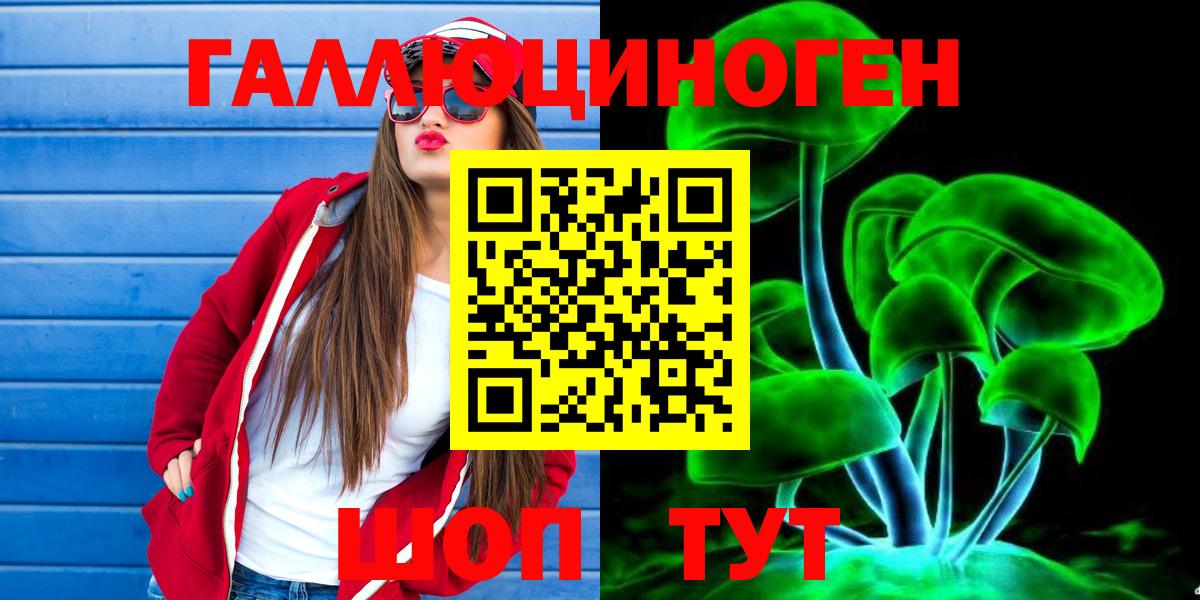 Гусиноозёрск  Псилоцибиновые грибы Magic Shrooms  Вход с VPN  Псилоцибиновые грибы Psilocybine cubensis 