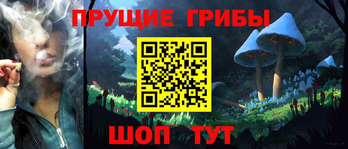 Псилоцибиновые грибы Magic Shrooms Гусиноозёрск